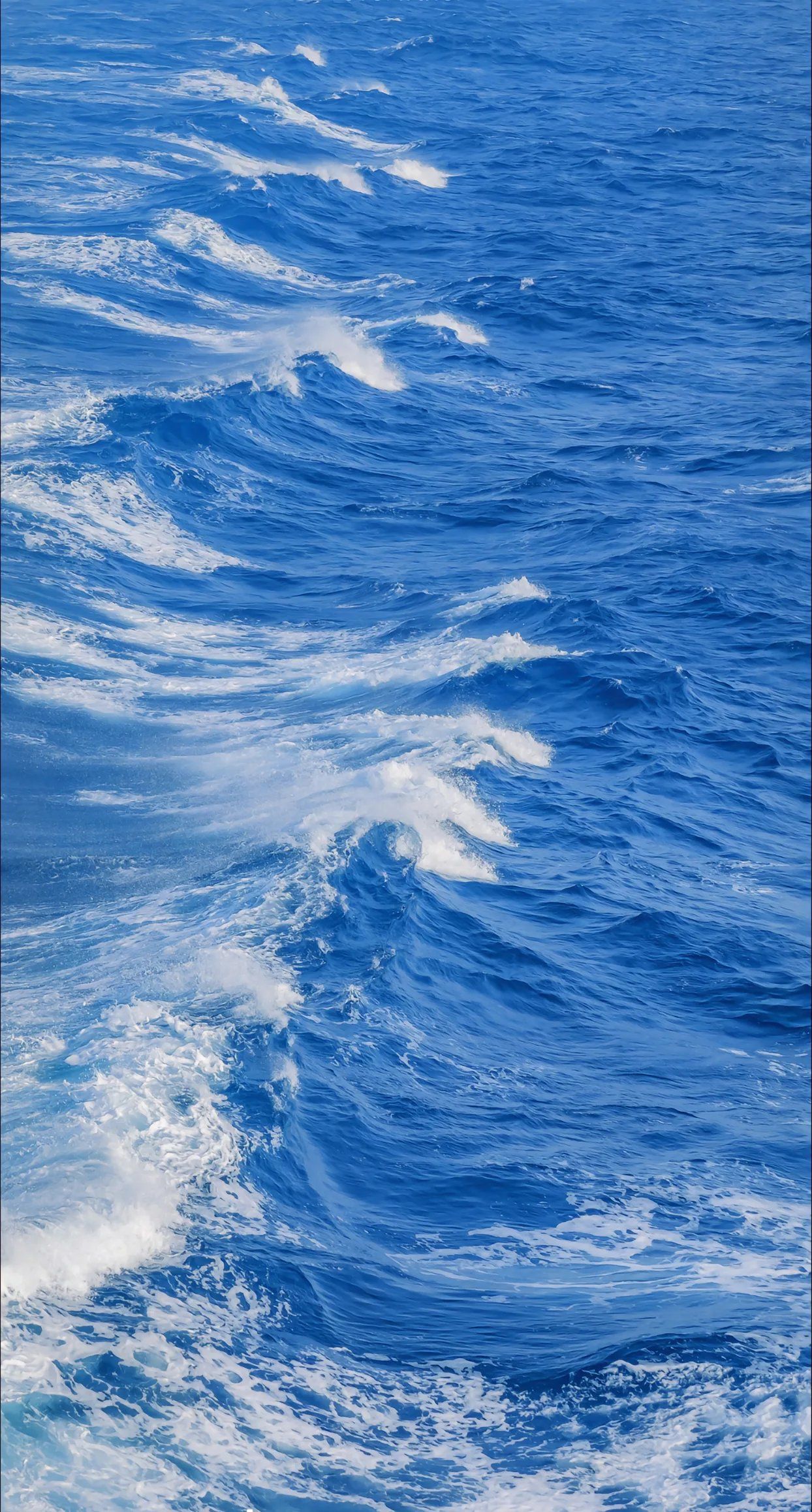 海上漂，心飛揚——探索陸路國際貨運代理業務的獨特魅力